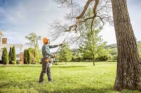 Reliable North Highlands, CA Tree Care Solutions